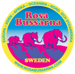 Rosa Bussarna